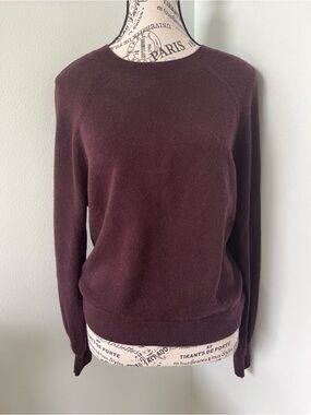 💯 Cashmere Banana Republic Plum Crewneck Sweater